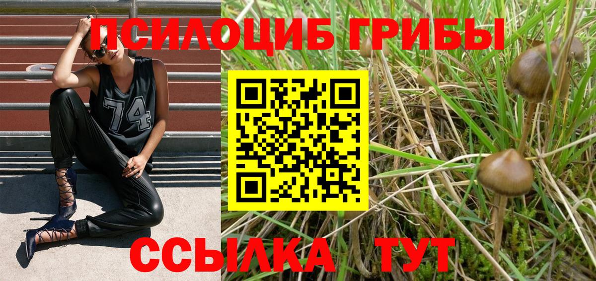Галлюциногенные грибы Cubensis Тавда